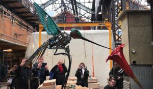 Le colibri géant des Machines