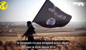 Au Danemark, réintégration plutôt que répression pour les djihadistes
