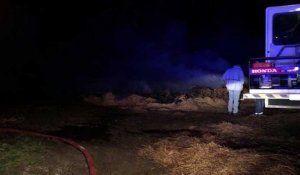 Philippeville: un second incendie ravage la même ferme à Surice