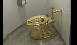 Trump voulait un Van Gogh, le Guggenheim lui propose des toilettes en or