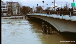 Le week-end du pic de crue de la Seine, vu des réseaux sociaux