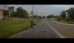 Un motocycliste perd sa jambe artificielle sur la route (Vidéo)