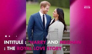 Prince Harry et Meghan Markle : Leur histoire d'amour va être adaptée en téléfilm !