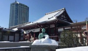 De la neige à Tokyo, une rareté dans la capitale nipponne