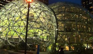Les images incroyables des "sphères" d'Amazon censées rendre les employés plus efficaces