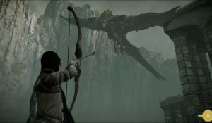 Shadow of the Colossus - Vaincre le Colosse 5 Avion