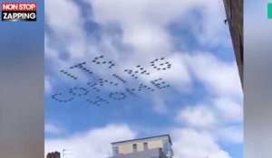 Angleterre - Croatie : "It's coming home", le message de la Royal Air Force dans le ciel (vidéo) 