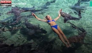 Une instagrameuse pose avec des requins... et se fait mordre ! (vidéo) 