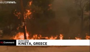 Grèce : feu de forêt à l'ouest d'Athènes