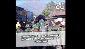 Indonésie: 560 randonneurs bloqués en montagne après un séisme 