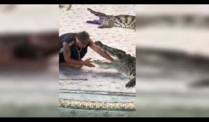 Thaïlande : un dompteur mordu par un crocodile, la vidéo choc