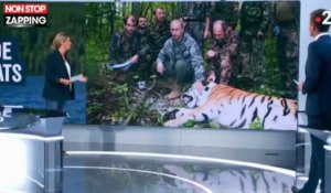 Vladimir Poutine accusé à tort de chasser le tigre par France 2 (vidéo)
