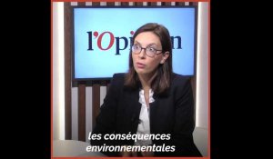 «Les entreprises à mission ne seront en rien un statut obligatoire !», assure Amélie de Montchalin