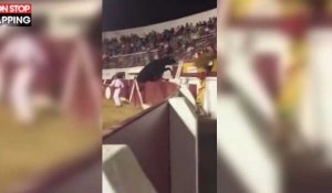 Landes : un taureau saute dans le public en plein spectacle, la vidéo choc