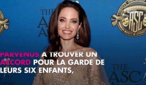 Angelina Jolie en guerre contre Brad Pitt, son avocate l'abandonne