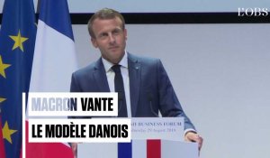 "Education", "culture", "flexisécurité"... : Macron vante le modèle danois