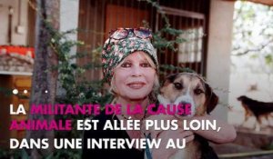Nicolas Hulot quitte le gouvernement : Brigitte Bardot ravie, la raison dévoilée