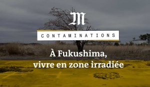 Contaminations : À Fukushima, ils vivent en zone irradiée