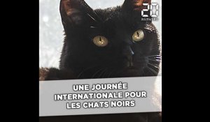Ce vendredi, c'est la Journée internationale du chat noir