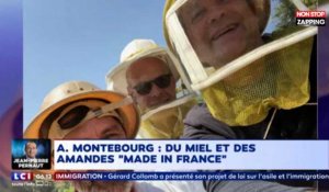 Arnaud Montebourg lance sa marque de miel, "Bleu, Blanc, Ruche" (Vidéo)