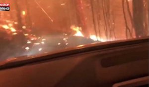 Etats-Unis : Piégés dans une forêt en feu, un père et son fils filment leur fuite (Vidéo)
