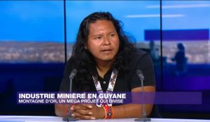 Mines en Guyane : le projet Montagne d'or "inacceptable" pour les autochtones