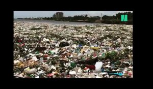 Cette vidéo donne tout son sens à l'expression "mer de plastique"