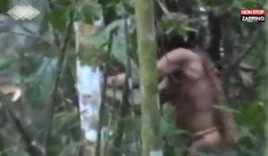 Brésil : Depuis 22 ans, cet homme vit seul dans la forêt amazonienne (Vidéo)