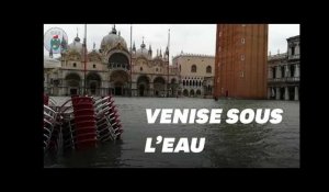 Les images de Venise sous l'eau après des inondations historiques
