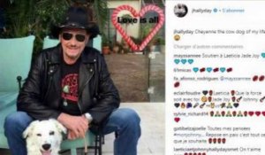 Johnny Hallyday : Le rockeur voulait honorer sa chienne dans une chanson