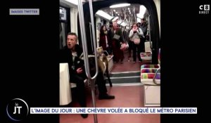 Paris : il vole des chèvres et les emmène dans le métro - ZAPPING ACTU DU 14/11/2018