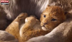 Le Roi Lion : Découvrez la bande-annonce époustouflante de la version 2019 (vidéo)