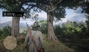 Red Dead Redemption 2 : les 20 attrape-rêves