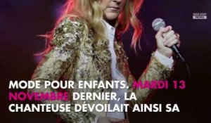 Céline Dion veuve : Laurent Ruquier choque avec une blague sur René Angélil