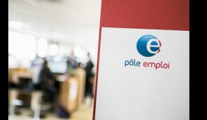 Depuis son échange avec Macron, l'horticulteur au chômage aurait reçu de nombreuses offres d'emploi