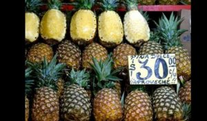 Espagne: la cocaïne était cachée dans des ananas