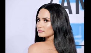 Ils profitent de la cure de désintoxication de Demi Lovato pour planifier le cambriolage de sa villa