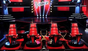 « The Voice ». TF1 dévoile les nouveaux coachs de la saison 8
