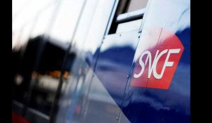 L'Assemblée approuve le principe de changement de statut de la SNCF