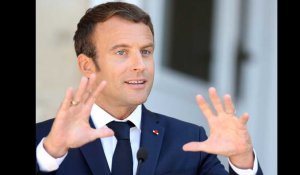 Emmanuel Macron adopte Nemo, un labrador noir, à l'Élysée