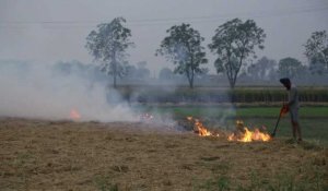 Des pratiques agricoles empêchent l'Inde de respirer