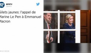 Gilets jaunes: l'appel de Marine Le Pen à Emmanuel Macron 