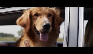 Mes vies de chien : la bande-annonce du film