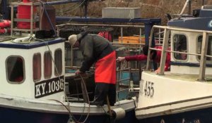 Les pêcheurs écossais sceptiques quant aux promesses du Brexit
