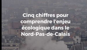 Cinq chiffres pour comprendre l'enjeu écologique dans le Nord-Pas-de-Calais