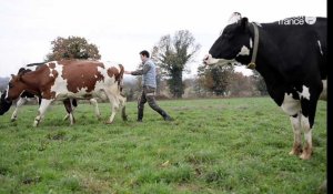 Léo, 23 ans, agriculteur bio à Livré-la-Touche