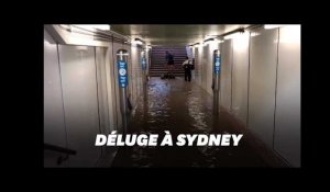 Sydney paralysée après "la pluie du siècle"