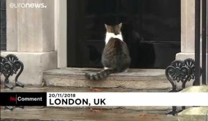À quand une chatière au 10 Downing Street ?