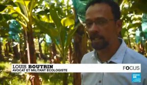 Le chlordécone, poison pour les terres et les corps en Martinique