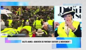 Geneviève de Fontenay très engagée : Elle soutient les gilets jaunes (exclu vidéo)